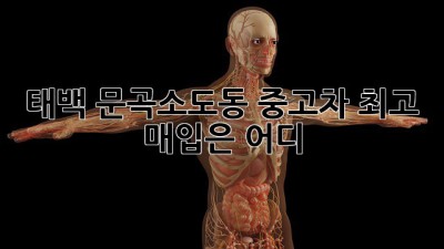 태백 문곡소도동 중고차 최고 매입은 어디?