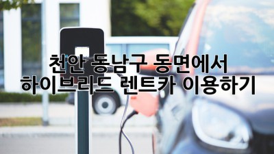 천안 동남구 동면에서 하이브리드 렌트카 이용하기