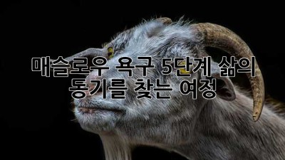 매슬로우 욕구 5단계: 삶의 동기를 찾는 여정